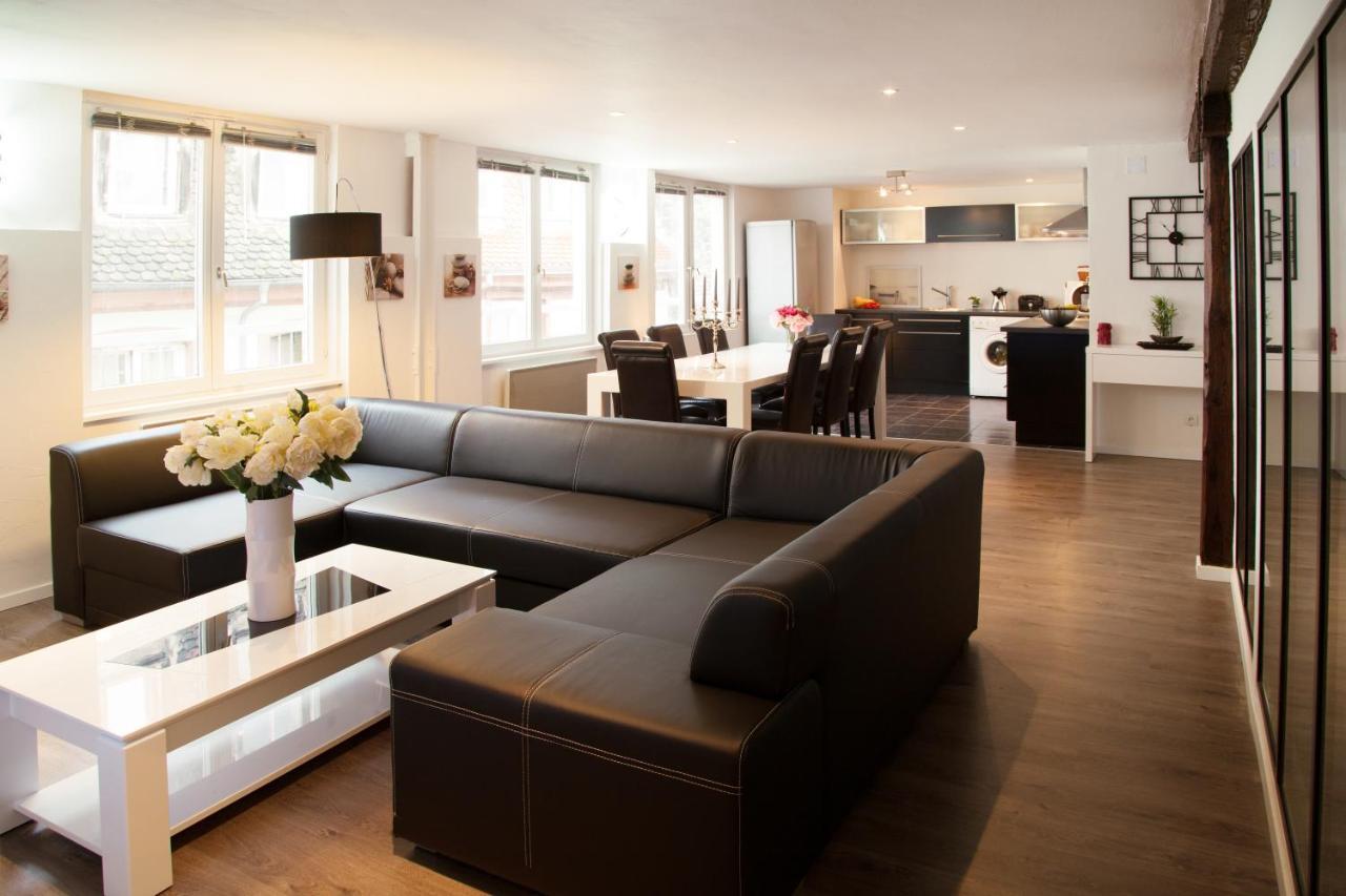 Le Corbeau - Grand Appartement Strasbourg Centre, Calme Eksteriør billede