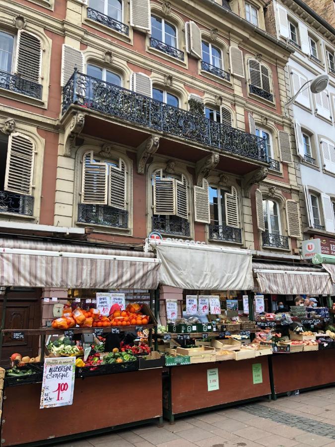 Le Corbeau - Grand Appartement Strasbourg Centre, Calme Eksteriør billede